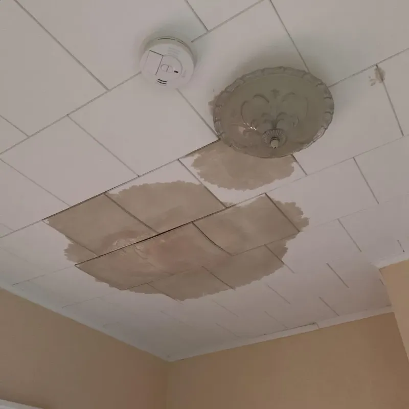 Ceiling Water Damage Repair in Dickinson County, KS