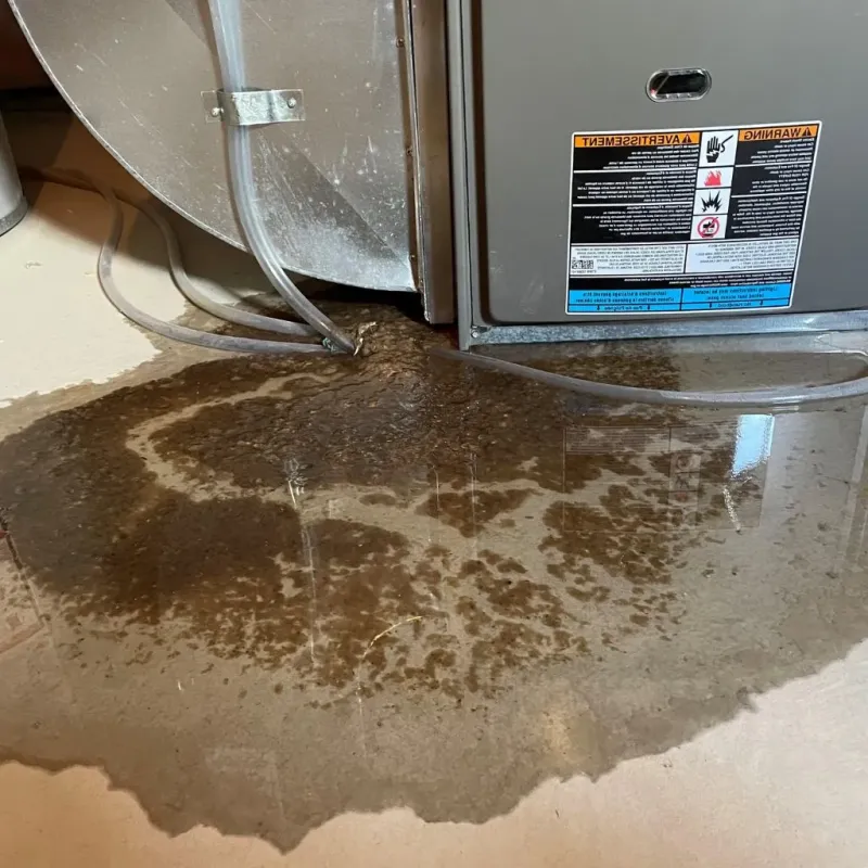 Pipe Burst and Leak Restoration in Dickinson County, KS
