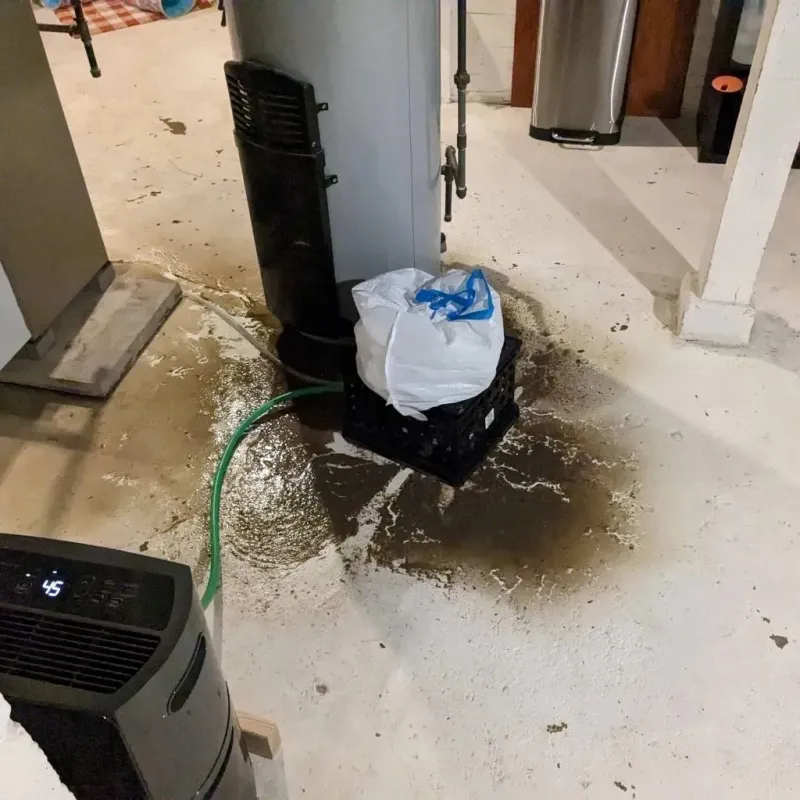 Sewage Backup Cleanup Service in Dickinson County, KS